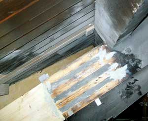 Rafter showing Structural Epoxy Resin after injection into slots.